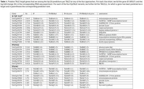 Epigenetic features improve TALE target prediction - bioRxiv | TAL effector science | Scoop.it