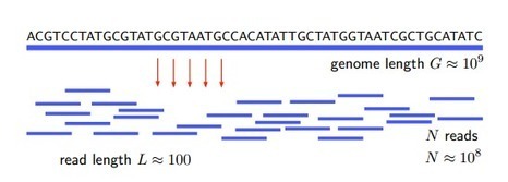 Shannon's Mathematical Theory of Communication Applied to DNA Sequencing | Amazing Science | Scoop.it