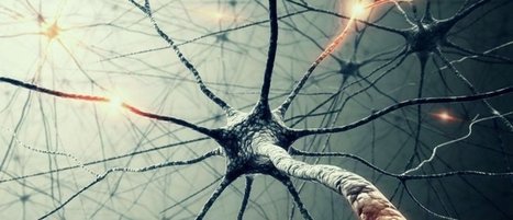 Microsoft veut enrayer le cancer gr&acirc;ce &agrave; l'intelligence artificielle | Science & Transhumanisme | Scoop.it