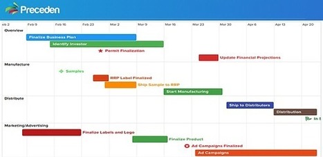 Create Professional Project Management Timelines for your Presentations With Preceden Timeline Maker | Business and Productivity Tools | Scoop.it