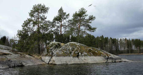 Kalastaja ihmeissään Saimaalla: ”Vedenpinnan pitäisi nousta 40 senttiä, että pääsisi vesille” | Etelä-Savo | Yle | 1Uutiset - Lukemisen tähden | Scoop.it