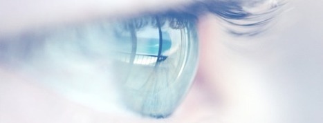 What's site is more engaging?  Yahoo, Facebook, or the New York Times? | Practical Networked Leadership Skills | Scoop.it