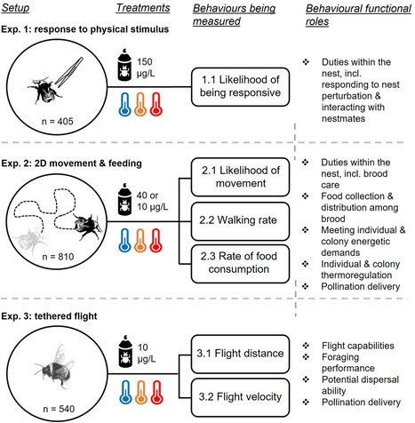 Les changements de temp&eacute;rature augmentent le risque de contamination des abeilles par les pesticides | Imperial News | Imperial College London | EntomoNews | Scoop.it
