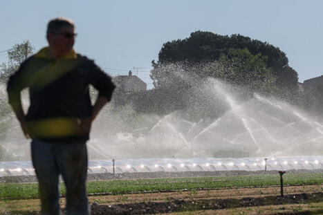 Le gouvernement fran&ccedil;ais concr&eacute;tise par un d&eacute;cret le &laquo;&nbsp;contr&ocirc;le unique&nbsp;annuel&nbsp;&raquo; sur les exploitations agricoles | Revue de presse du Centre de doc | Scoop.it