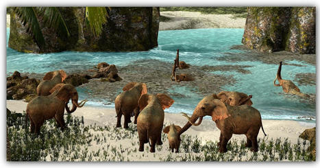 Suaka - Second Life | Second Life Destinations | Scoop.it