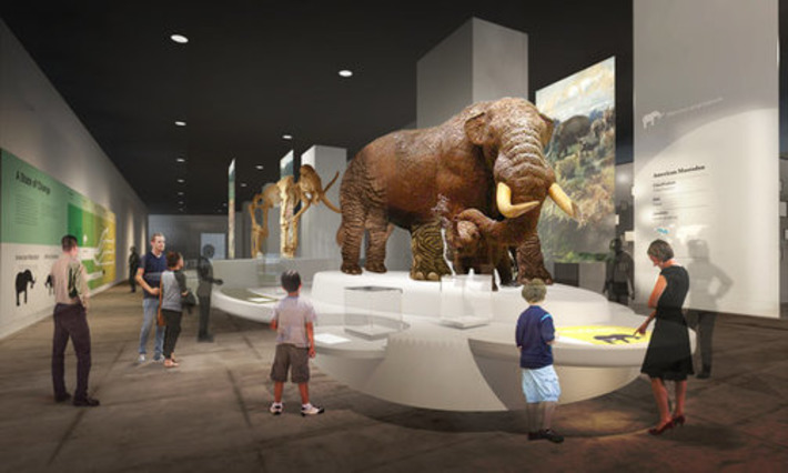 State Museum in Albany Plans Overhaul of Its Galleries | The New York Times | Kiosque du monde : A la une | Scoop.it