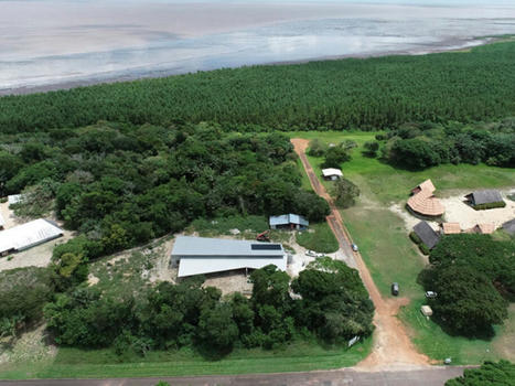 Inauguration de la Station de Recherche de l’Ouest Guyanais | Biodiversité | Scoop.it