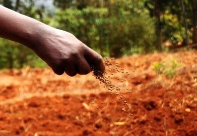 On the road from food emergencies to food security - AlertNet | Food & Nutrition Security in East Africa | Scoop.it