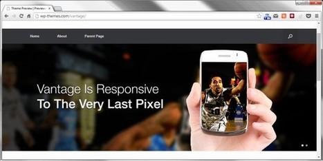 Mein eigener Wordpress-Blog | Wordpress-Webdesign | Scoop.it