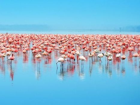 5 Surefire Tips to Reinvent Your Social Business Networks | Networked Nonprofits and Social Media | Scoop.it