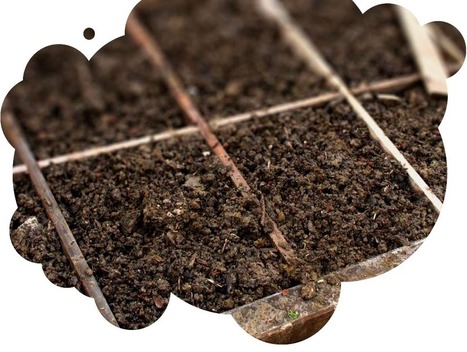 Conf&eacute;rence FAIRE UN POTAGER HORS SOL | Nature en ville | Scoop.it