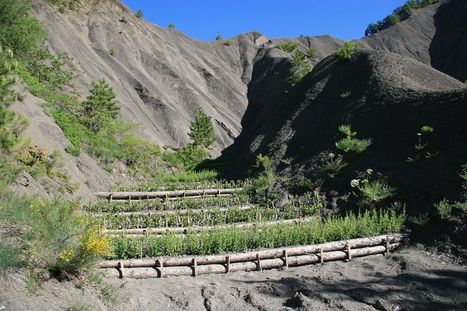 Risques naturels : se protéger grâce à la nature | Irstea | Biodiversité | Scoop.it