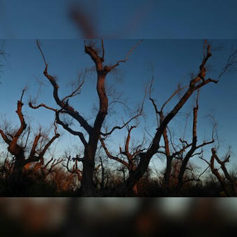 84% of Indian districts at risk of heatwaves, 70% prone to extreme rainfall | Business Standard | Operation Deimos | Scoop.it