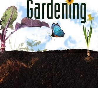 Science of Gardening: Art & Science in the Garden | Homework Helpers | Scoop.it