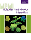 Conditional Requirement for Exopolysaccharide in the Mesorhizobium-Lotus Symbiosis | Plant-Microbe Symbiosis | Scoop.it