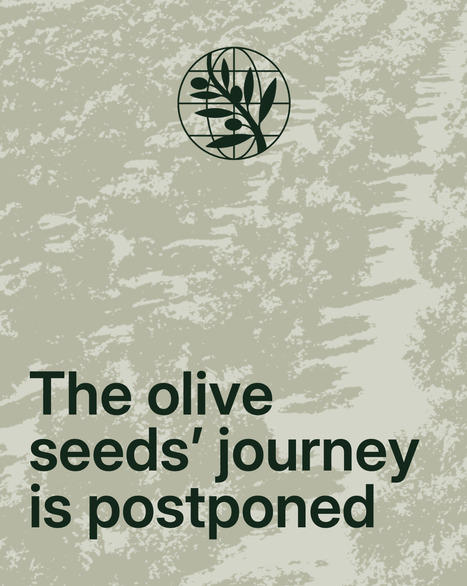 The olive seeds' journey to Svalbard is postponed | OLIVE NEWS | Scoop.it