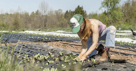 20 YOUTH Organizations Transforming FOOD SYSTEMS | CIHEAM Press Review | Scoop.it