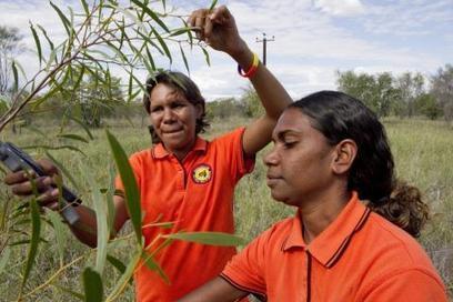 Closing the Gap in Indigenous Disadvantage | Council of Australian Governments (COAG) | Australian Indigenous Education | Scoop.it