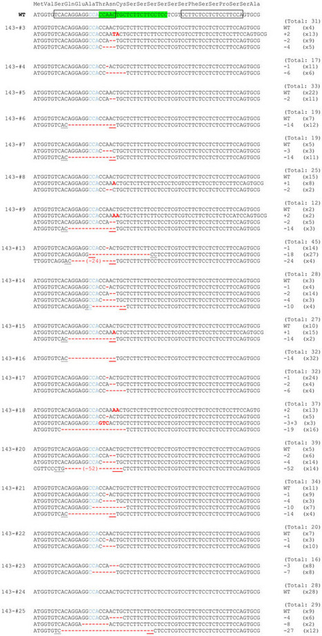 Highly efficient targeted mutagenesis in one-cell mouse embryos mediated by the TALEN and CRISPR/Cas systems : Scientific Reports : Nature Publishing Group | Animal Models - GEG Tech top picks | Scoop.it