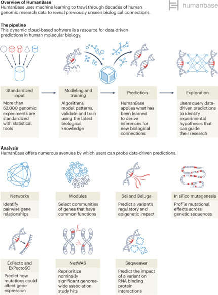 HumanBase: an interactive AI platform for human biology | Nmet | RMH | Scoop.it