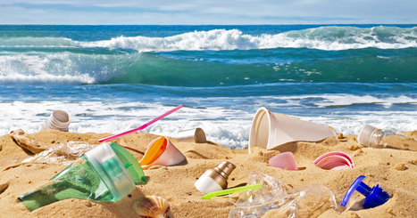 L'Union européenne vote l'interdiction des plastiques jetables en 2021 | Environnement - Énergie | Scoop.it