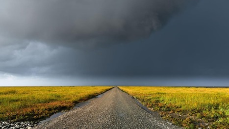Maailmat maat yritt&auml;v&auml;t saada lajien sukupuutot loppumaan kansainv&auml;lisell&auml; sopimuksella &ndash; Suomen neuvottelija: "Jos ei ole lajeja, ei ole el&auml;m&auml;&auml;k&auml;&auml;n" | Yle Uutiset | yle.fi | 1Uutiset - Lukemisen t&auml;hden | Scoop.it