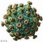 Ineffective – HIV Vaccine Trial Discontinued | Virology News | Scoop.it