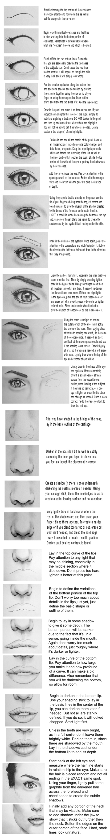 face drawing reference', 'tutorial' in Drawing and Painting Tutorials