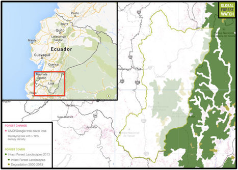 Indigenous leader murdered before he could attend Climate Summit - Mongabay.com | Peer2Politics | Scoop.it