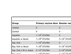 Oral and Anal Vaccination Confers Full Protection against Enteric Redmouth Disease (ERM) in Rainbow Trout | Mucosal Immunity | Scoop.it