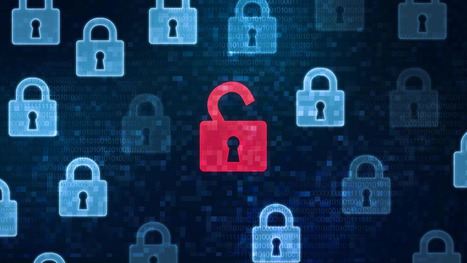 Why Rigid Security Programs Keep Failing | Cybersecurity Leadership | Scoop.it