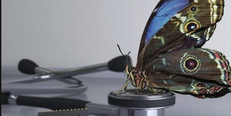 Une caméra, s’inspirant d’un papillon, pour détecter le cancer | EntomoNews | Scoop.it