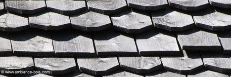 [Mat&eacute;riaux] Le bois pour une toiture durable et originale | Build Green, pour un habitat &eacute;cologique | Scoop.it