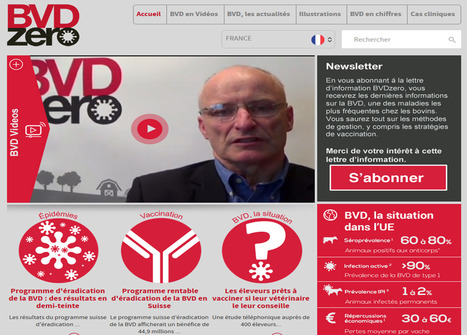 BVD Zéro : Le site sur la Diarrhée virale bovine | Lait de Normandie... et d'ailleurs | Scoop.it