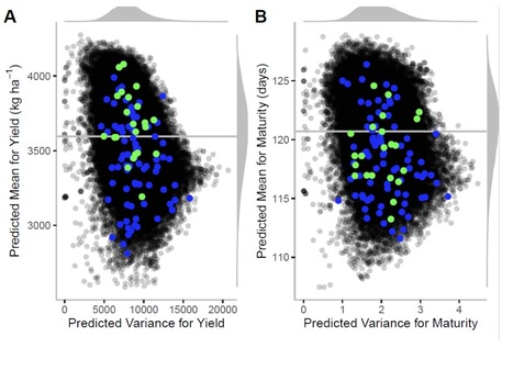 Original Paper in Crop Sci &bull; Belzile Lab 2021 &bull; Improvement of key agronomical traits in soybean through genomic prediction of superior crosses | Originals | Scoop.it