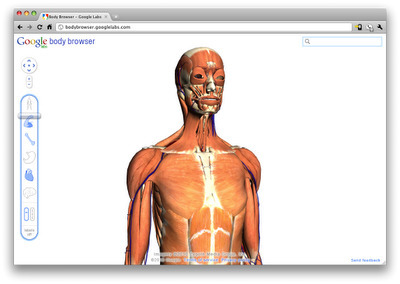 WebGL now in Beta: here comes the 3D web! | Web 3D | Scoop.it