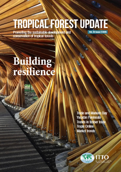 Building resilience. The latest issue of Tropical Forest Update is out now!&nbsp; | &Eacute;cosyst&egrave;mes Tropicaux | Scoop.it
