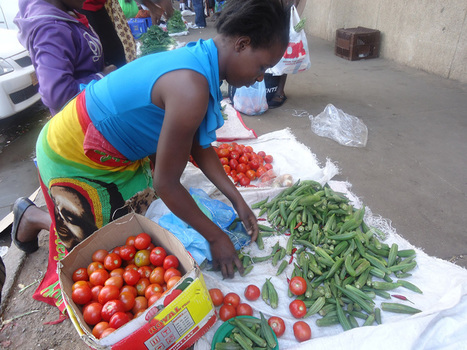 Informal Sector and Informal Economy | Scoop.it