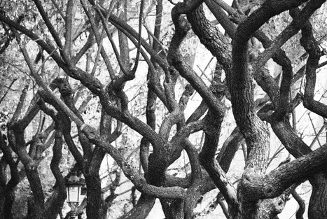 [GOAL] Aaron Swartz RIP | Open-Up Public Science! | Scoop.it