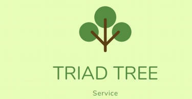 triadtreeremoval.com | Top Tree Service and Trimming Company | triadtreeremoval | Scoop.it