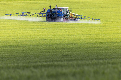 Les parlementaires se penchent sur l’incapacité des pouvoirs publics à contrôler l’usage des pesticides | Variétés entomologiques | Scoop.it