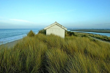 Lessay VIDÉO. Pour lutter contre l'érosion des dunes en Normandie, des opérations de réensablement prévues | Biodiversité | Scoop.it