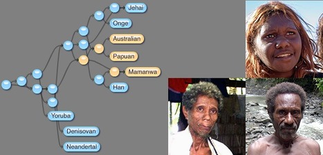 New revelations in tracing indigenous DNA | The Archaeology News Network | Merveilles - Marvels | Scoop.it