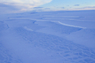 This Antarctic Ice Shelf Will Be the Next to Collapse | Soggy Science | Scoop.it