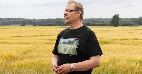 Suomalaiset sikatilalliset synkkin&auml;: &rdquo;T&auml;t&auml; k&auml;&auml;nnett&auml; kaikki tilat eiv&auml;t kest&auml;&rdquo;, sanoo Sami Yli-Rahnasto sikarutosta | Etel&auml;-Pohjanmaa | Yle | A1Uutiset | Scoop.it