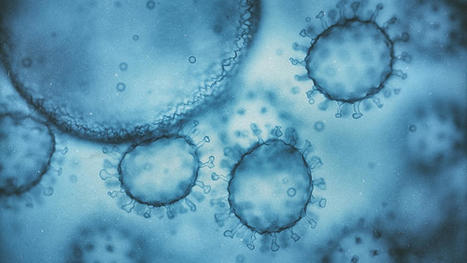 « Il y a tellement d’inconnues qu’il est utopique de prédire la fin de l’épidémie » | Actualité sanitaire et sociale - CRDI Croix-Rouge Compétence                               Hauts-de-France | Scoop.it