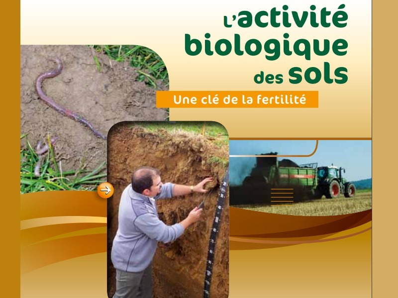 Activité Biologique Des Sols Et Fertilit 7069