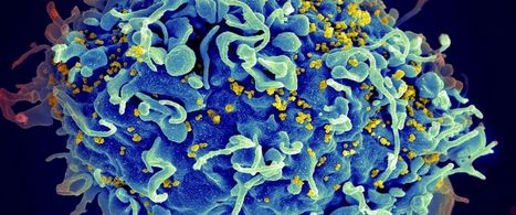 Bacteriophages: the Viruses That May Be 'Watching' You  | dis.infected | Scoop.it