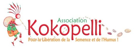 Nouvelles du procès Kokopelli c/ Graines Baumaux, mai 2013 | Ces infos qui nous font du bien | Scoop.it