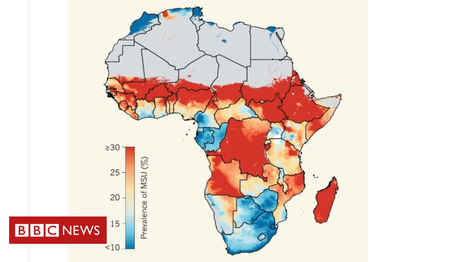 #Africa 'set to miss #UN development goal on malnutrition' #BBCAfrica #BBC #Investorseurope #Stocks  | Development Economics | Scoop.it